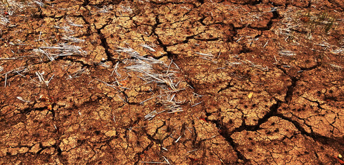 Cracked soil background taken from nature