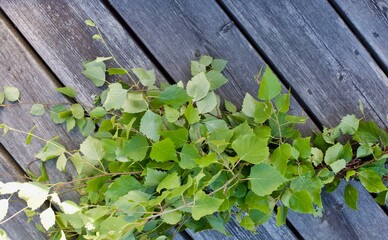 Sauna birch branches is typical for Finnish sauna bath