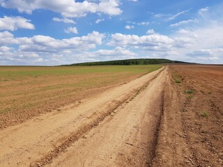 Fototapeta na wymiar Country road in the steppe