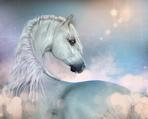 White Arabian horse at Dawn © Elle Arden