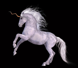 Fototapeta na wymiar White Unicorn Black Background Half Rear