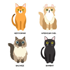 Set of adorable cat breeds in flat style : Vector Illustration