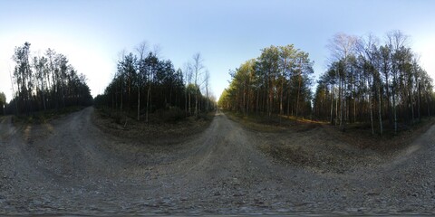 Sunshine in the forest HDRI Panorama