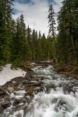 Paradise River At Nearby Paradise River Camp, Mount Rainier National Park