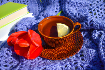 Obraz na płótnie Canvas A cup of hot tea in lemon and books in the garden. Tea time is morning.