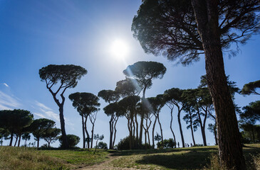 We are in Africa?no it's wrong ahahah we are in Rome during a summer day in the...