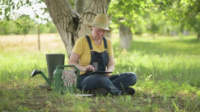 Female farmer using digital tablet in walnut orchard, innovative technology in organic farming