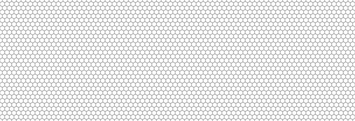 Fototapeta Honeycomb hexagon background pattern. Vector isolated texture. Comb seamless texture design. Vector hexagonal cell texture. obraz