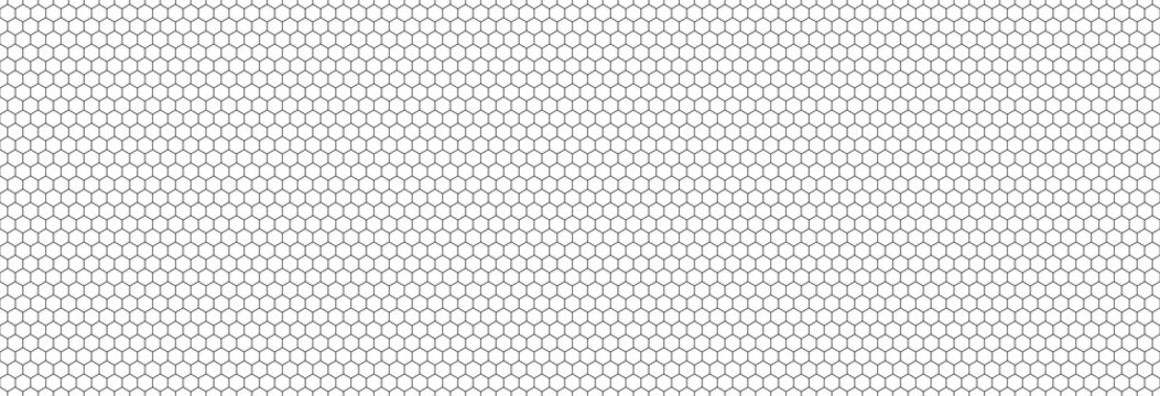 Honeycomb hexagon background pattern. Vector isolated texture. Comb seamless texture design. Vector hexagonal cell texture.