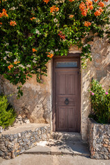 Fototapeta na wymiar Old door near a bush with flowers