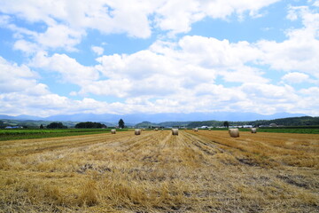 Landscape of harvested wheat farmland with Tokachi mountain range in background during summer season in Biei, Hokkaido, Japan.