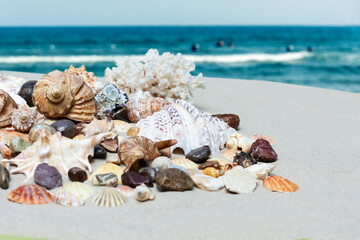 Fototapeta na wymiar Seashells, sea stars, coral and stones on the sand, summer beach sea background travel concept.