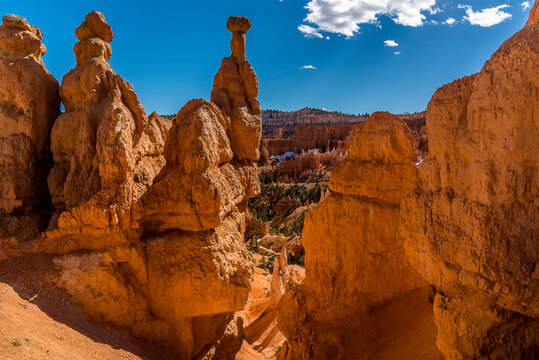 Thor's hammer viewed from the lower trail in Bryce Canyon, Utah
