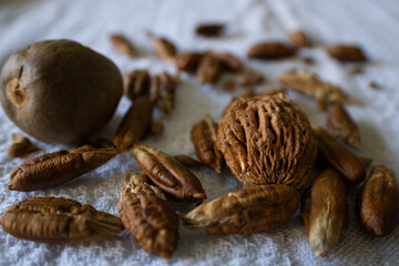 Raw Seeds Background