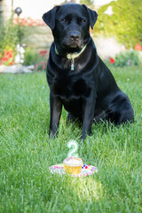 2nd Birthday