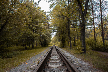 Fototapeta premium railroad in autumn