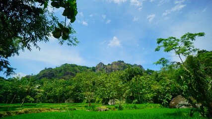 Obraz premium A beautiful view of the ancient volcano in Yogyakarta