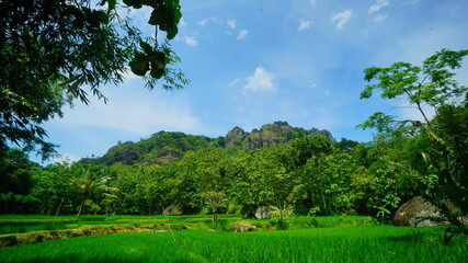 A beautiful view of the ancient volcano in Yogyakarta