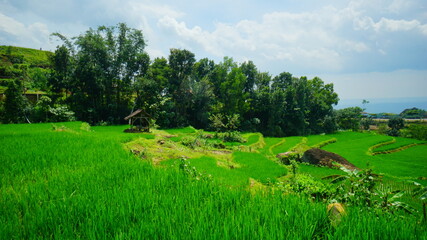 A beautiful view of the ancient volcano in Yogyakarta