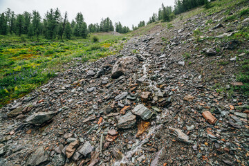 Clear spring water flows on beautiful stony steep slope. Boulder stream with small mountain creek. Many wet stones on mountainside. Nature background with highland brook close-up. Clear water stream.