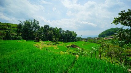 A beautiful view of the ancient volcano in Yogyakarta