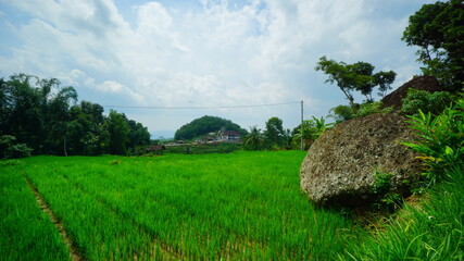 A beautiful view of the ancient volcano in Yogyakarta