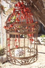 Jailbird 
Jaula para p&aacute;jaro