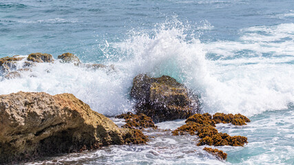 Vague déroulant avec de l'écume et des embruns et venant s'écraser sur les rochers de la côte un jour ensoleillé sur un spot de surf au Moule en Guadeloupe.