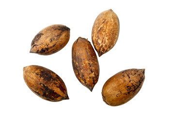 Pecan nuts on a white background