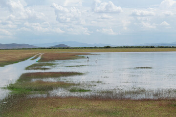Laguna Fierro visitada por aves migrantes.