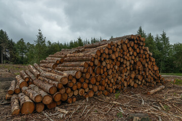 stack of logs