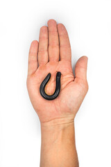 Black millipede julida on man's hand close up. Exotic pet centipede.