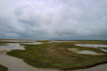 nature reserve by the sea