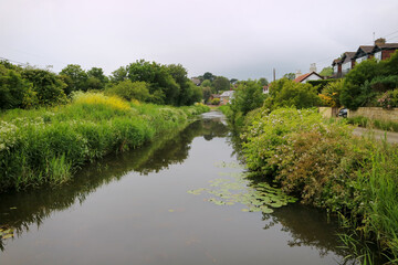 Obraz premium landscape with river