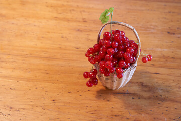 freshly picked red currants in a small basket on a wooden table