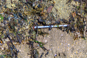 pollution on the beach