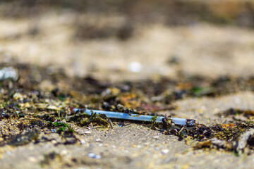 pollution on the beach