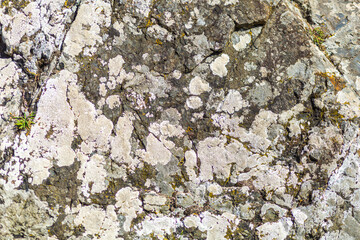 texture of rock