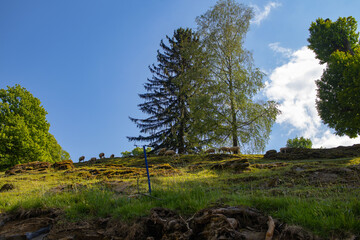 Fototapete bei efototapeten.de bestellen   