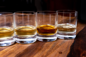 Scotch single malt or blended whisky tasting on distillery in Scotland, UK