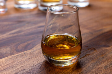 Scotch single malt or blended whisky tasting on distillery in Scotland, UK
