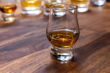 Scotch single malt or blended whisky tasting on distillery in Scotland, UK
