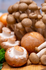 Fresh ingredients for tasty vegetarian mushrooms soup, brown champignons, buna shimeji, carrots