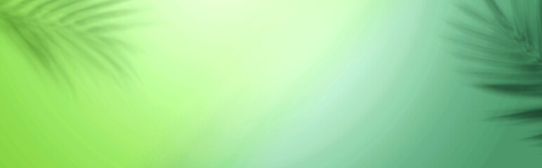 Shadow background of tropical palm leaves - flat lay