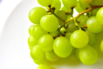 Green delicious ripe grapes on a white plate