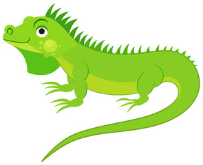 Cute green iguana isolated on white background. Flat vector illustration.