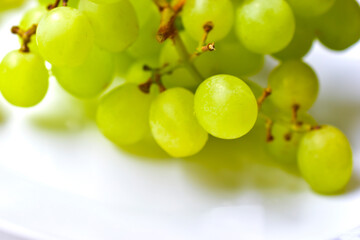 Green ripe grapes macrophotography on a white background