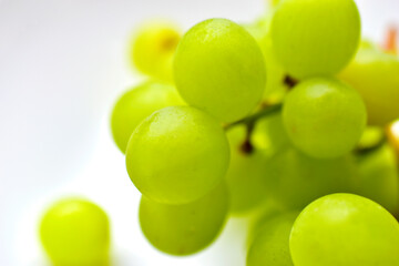 Green ripe grapes macrophotography on a white background