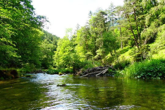 Wildbach