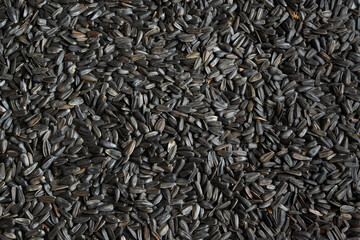 Close up view of sunflower seeds